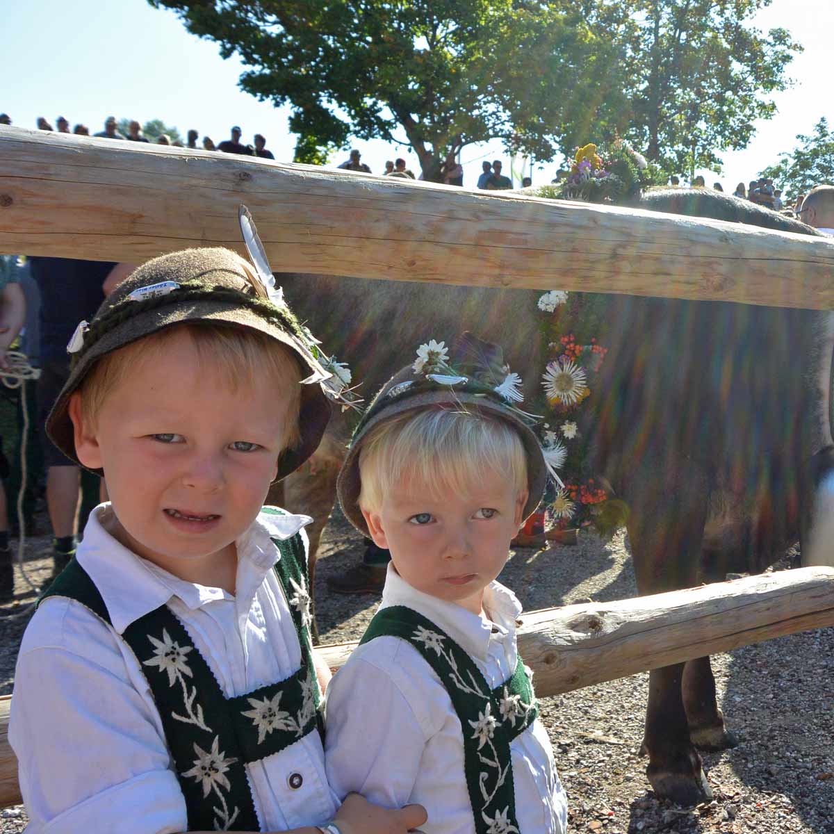 Max und Franz